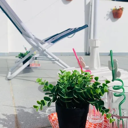 Refugio Terrace House Peniche Apartment *